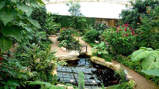 Schmetterlingspark Benalmádena